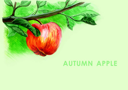 hanging on a branch of a ripe appleの写真素材