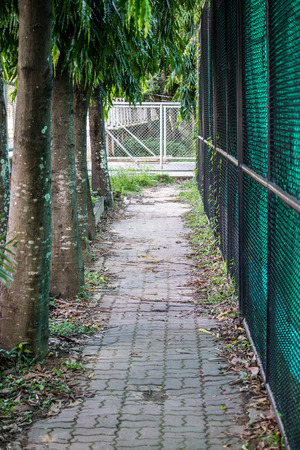 Walkwayの写真素材