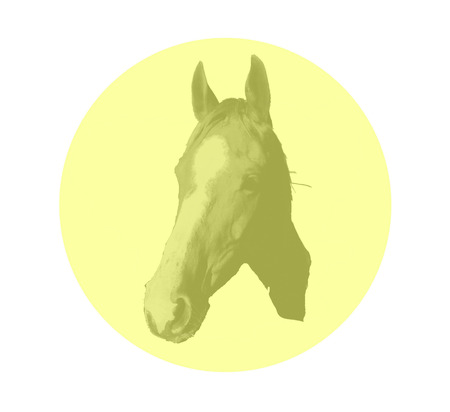 Horse yearのイラスト素材