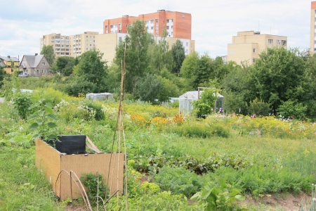 Alternative lifestyle in the cityの写真素材