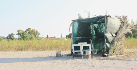 Life in the shed の写真素材