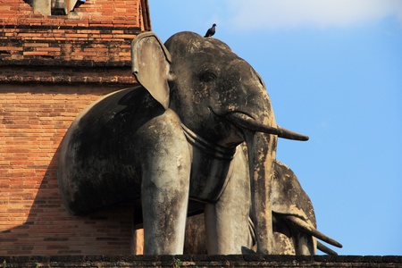 Wat J D Luang,Chiangmai Thailandの写真素材