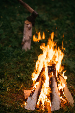 fire in the nature at night, flamesの写真素材