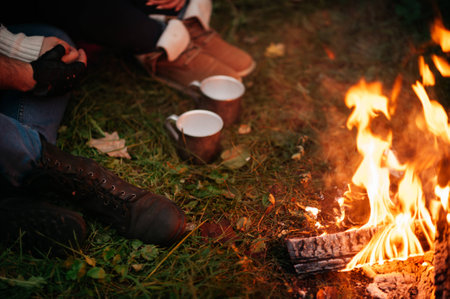 Nature lovers on sitting around the campfire at night