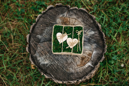 Beautiful wedding rings on wooden background, a stumpの写真素材