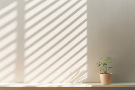 Sunlight and shadow on a white wall with a plant in a potの素材