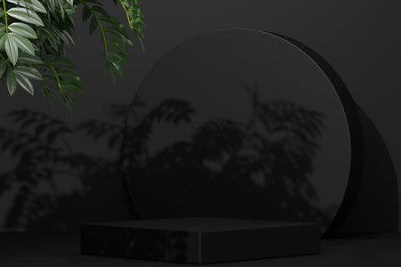 black Empty podium Blank product shelf standing backdrop. 3D rendering.の写真素材