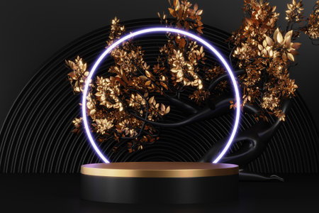 Fashion product background and stand black podium display with blank backdrops.の写真素材