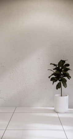 white empty room minimalist background,3D renderingの写真素材