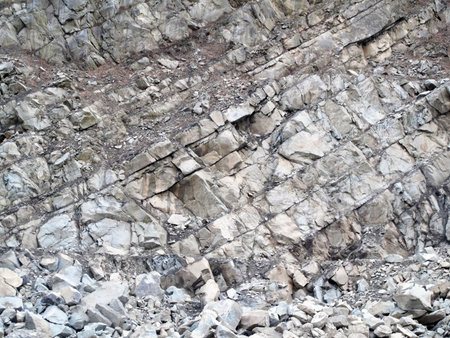 Stone texture