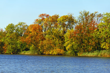 Autumn colourful trees reflecting in a small lakeの写真素材