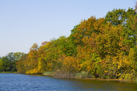 Autumn colourful trees reflecting in a small lakeの写真素材