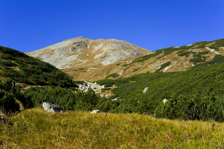 Spalena Peak in the Western Tatras (Rohace), valley viewの写真素材