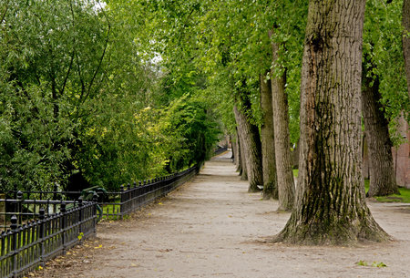 Park view with trees in Brugge City in Belgiumの写真素材
