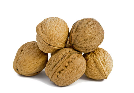 Few walnuts on the isolated white backgroundの写真素材