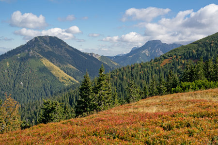 Colorful autumn in the Western Tatras (Rohace)の写真素材