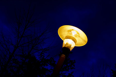 Street lamp in early night with dark blue skyの写真素材