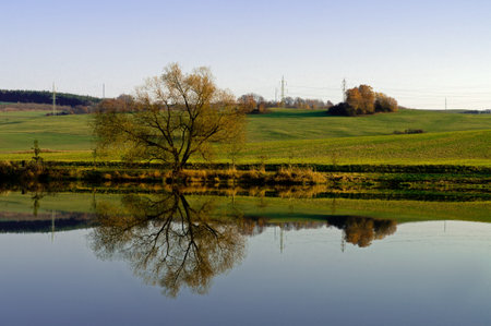 Broadleaved tree reflecting in a small lakeの写真素材