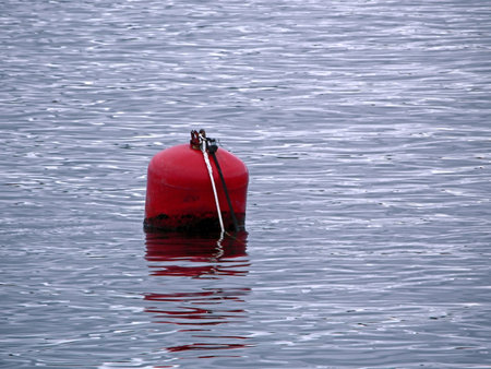 Red buoy on a sea surface with waves 