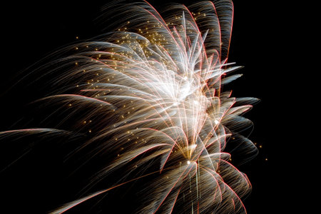 Fireworks celebrating New Year Eve on the dark sky