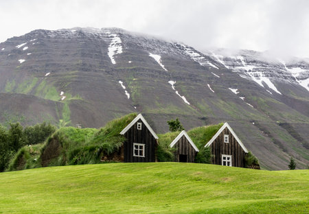 Earth houses in Iceland with large misty mountains in the backgroundの写真素材