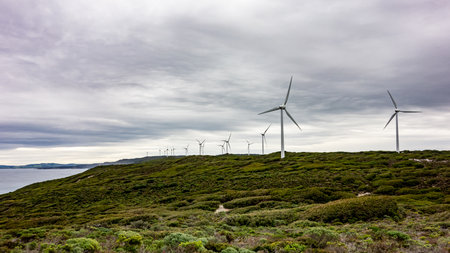 Wind farm with a lot of turbines in the Albany Wind Farm during overcast weather