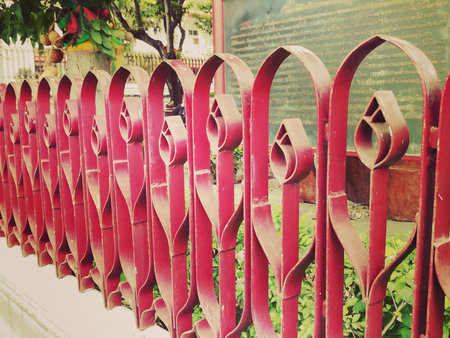 the lotus Fenceの写真素材
