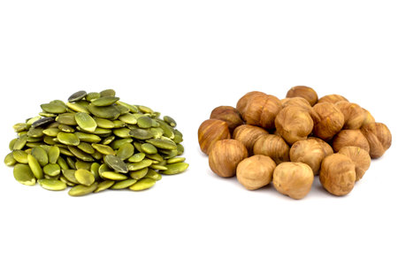 The peeled seeds of pumpkin and hazelnut. Isolated.の写真素材