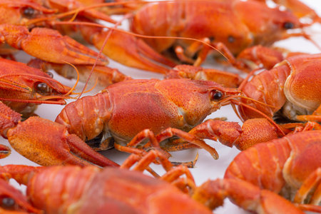 Tasty, boiled crawfishes of red color. Closeup. Selective focus.の写真素材