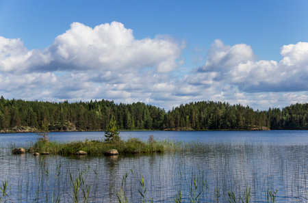 View of the lake in the Repovesi National Park in Finland.の写真素材