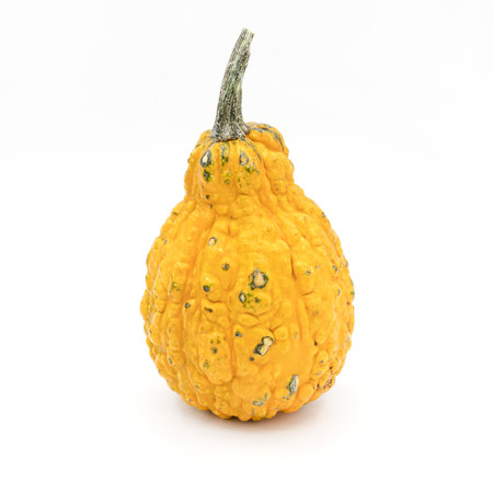 Decorative pumpkin on a white background. Pumpkin is a symbol of the beginning of autumn and the Halloween holiday.の写真素材