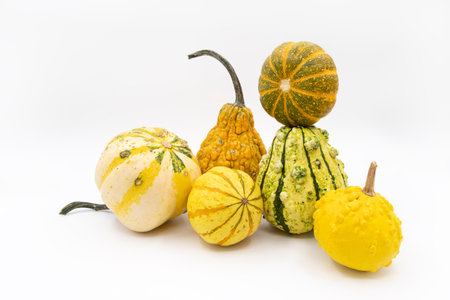Decorative pumpkins on a white background. Pumpkin is a symbol of the beginning of autumn and the Halloween holiday.の写真素材