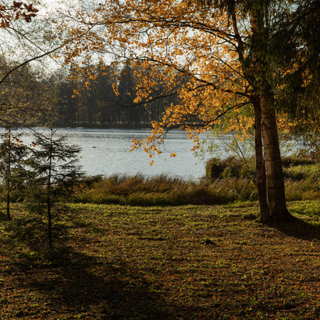 Autumn landscape in the city park. View of the lake.の写真素材