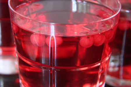 Red currant jelly.の写真素材