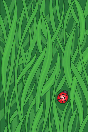 Ladybird as a button in fieldsのイラスト素材