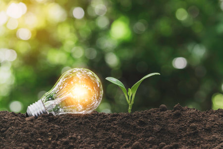 Light bulb with  young plant for energy concept put on the soil in soft green nature background.