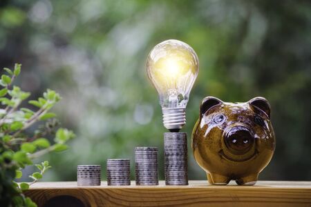 Coins and light bulb with piggy bank put on the wooden for saving money,energy concept in nature background.の写真素材