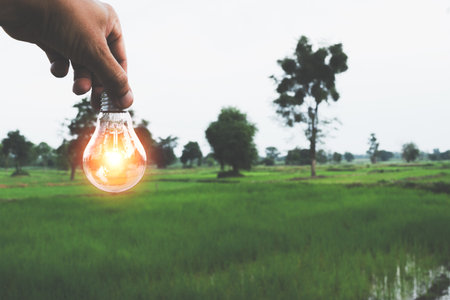 hand of person holding light bulb on nature background for solar,energy,idea concept.の写真素材