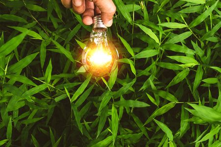 hand of person holding light bulb in nature background for solar,energy,idea concept.の写真素材