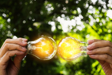 hand of person holding light bulb on the nature background for solar,energy,idea concept.