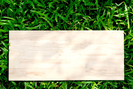 wooden on green grass for text or advertising concept.