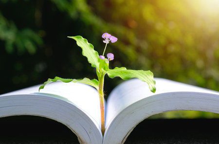 Plant put in the book for idea concept on park nature background.の写真素材