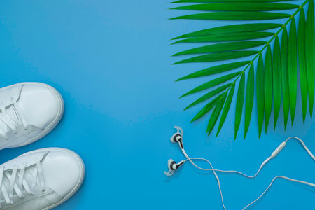 Flat lay, top view with shoes,earphone and green leaf tropical palm for travel,summer and holiday concept on soft blue background.の写真素材
