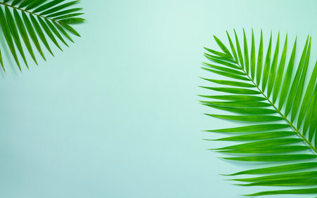 Top view,flat lay tropical palm leaves for text,present product,summer and holiday concept on blue background.の写真素材