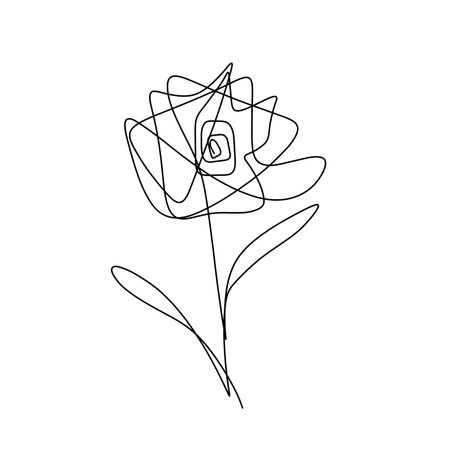 Rose one line drawing on white background.の写真素材