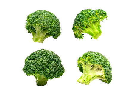 Set of broccoli organic isolated on white background for food or nature concept.の写真素材