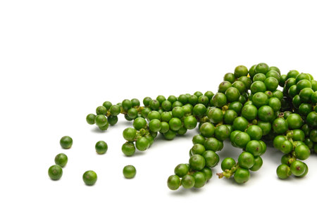 Fresh peppercorn organic farm isolated on white background.の写真素材