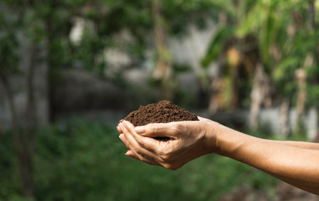 Hand holding fertile soil for plant to growing on nature background.