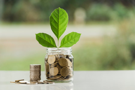 Coins in glass jar with young plant on top put on the wooden plate,in soft nature  background also...