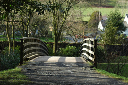 Wooden bridge